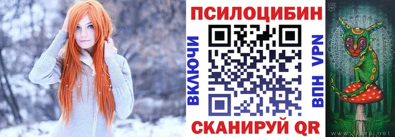 Галлюциногенные грибы MAGIC MUSHROOMS купить закладку Трёхгорный